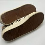 Madewell  Sidewalk High Top Sneaker Spotted Calf Hair Sz 7.5 Style #AH741 Photo 8