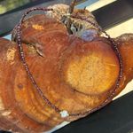 Brand new 5pc Multi Photo 3