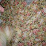 Bethany L All Over Floral Orange Feminine Top Size L Photo 6