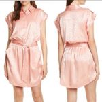 Joie nwt //  daran island sunset leopard satin mini dress Photo 14