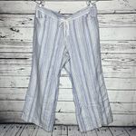 Lane Bryant NWT Size 22/24 Blue & White Stripe Linen Blend Wide Leg Pants Photo 0
