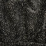 ASTR  the‎ label Florence Princess Sleeve Top Black Velvet Dot Size Medium Photo 8