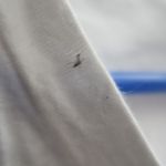 PINK Victoria's Secret tie up lace neckline pink on sleeves short sleeve shirt in white and black size large. Photo 6