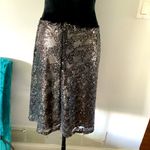 EXPRESS Beautiful sequined skirt-SO DRESSY 💖💖💖 Photo 1