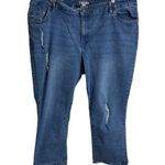 Woman Within Distressed Denim Jeans Size 22W From Bangladesh Photo 0