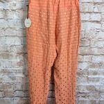 Tularosa Carol Pant in Peach Size XS NWT Photo 5