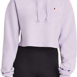 Champion Cropped  Hoodie Photo 0