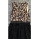 Venus  Women’s Black & Tan Formal, Party, Cocktail Mini Dress With Lace. Sz 2 Photo 6
