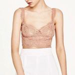 ZARA  Nude Pink Lace Bralette Top Large NWOT Photo 0