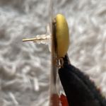 Green/Orange/Yellow and Multi Photo 3