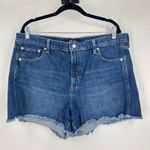 Gap Women's Denim High Rise Cutoff Shorts Size 16/33R Medium Wash Frayed Hem Photo 0