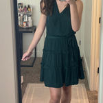 Naked Zebra  Dress Photo 0