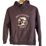 Disneyland Resort Grumpy 37 Hooded Heavy Sweatshirt Size Small Dark Brown Photo 0