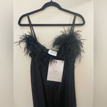 NWT Sleeper Boheme Midi Dress size Large L black feathers slip Tuckernuck Photo 10