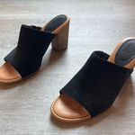 Born Shoes BORN Suede Leather Chunky Heel Sandals Size 9 Photo 0