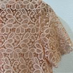ZARA  Peach Guipure Lace Button Up Top Size Small Photo 6