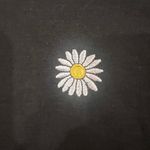 TJ Maxx Love Streak Daisy Crop Top Photo 2