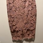 Tadashi Shoji  Floral Lace Illusion Sequin Knee Length Dress, Blush/Pink, Size 6 Photo 5