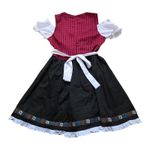 Kate Kasin German Dirndl Dress Oktoberfest Halloween Costume Women Size Medium Photo 1