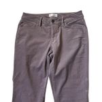 Loft Lilac Corduroy Curvy Skinny Pants Women's Size 4 NWT | 34-29 Photo 1