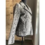 Boston Proper Suede Leather Jacket Sz 6 Grey Snake Moto Photo 2