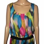 The Limited Water Color Dress Photo 2