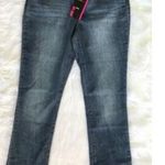 Style & Co  Jeans Boot Leg Blue Jeans Sz 4 Blue Brown Trim Pants Photo 0