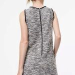 Ann Taylor LOFT Gray Tweed Sleeveless Fringe Back Zip Mini Shift Dress Size S Photo 2