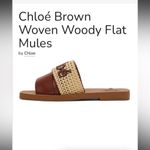 Chloé Chloe brown woven woody flat mule slide $600 CROCHET DESIGNER BOHO LUXURY fall Photo 1