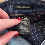 Cult of Individuality Gypsy High Rise Scarlett Stripe Skinny Jeans Blue Size 24 Photo 3