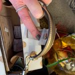 Kate Spade Authentic  dots glitter/leather gift box Crossbody/Satchel Photo 5