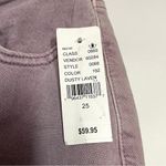 PacSun  Lavender Flared Jeans Photo 2