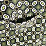 Etcetera  Geometric Avocado Velvet Mini Pencil Skirt Size 4 Photo 2