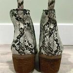 Dr. Scholls Dr. Scholl’s Amara Faux Snakeskin Ankle Boots Slip On Booties 2.5” Heel Size 6.5 Photo 3
