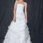 David's Bridal White Organza Wedding Dress Photo 0