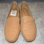 Bamboo Flats Photo 1