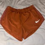 Nike Dri-Fit Shorts Photo 0