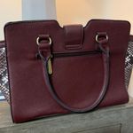 Charming Charlie Red Snake Print Purse Photo 1