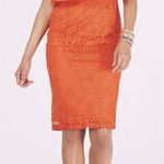 Thalia Sodi ‎ Strapless Lace Cocktail Dress Midi Fitted Popover Orange Medium New Photo 0