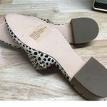 Steve Madden Cairo Mule Women's US 9 Beige Animal Print Cow Hair Block Heels Photo 4