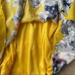 Pinkblush  V Neck Chiffon Floral Dress NEW Photo 4