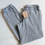 Project Social T New Brushed Sweatpants in Gray Photo 0