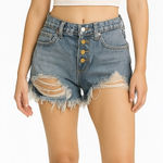 Wild Fable  Distressed Denim Cut-Off Shorts Photo 0
