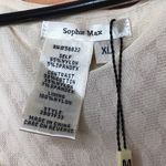 Sophie Max XL Jr. Long Sleeves Ivory Lace dress Photo 10