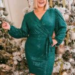 Ivy City Co Jagger Sequin Belted Dress NEW NWT Green Size 2X Photo 0