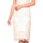 Tadashi Shoji Collette Lace Sheath Dress Ivory & Blush 14 Photo 0