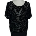 Suzy Shier  Top Large Black Short Sleeve Sheer Blouse Night Out Clubwear Sexy Photo 0