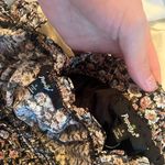 Papaya Floral Set Photo 3