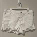 Aerie NWT  White Daydream Denim Jean Shorts Size XL Photo 0