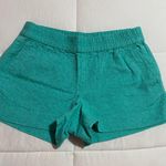 J.Crew  Blue Teal Shorts  Photo 0